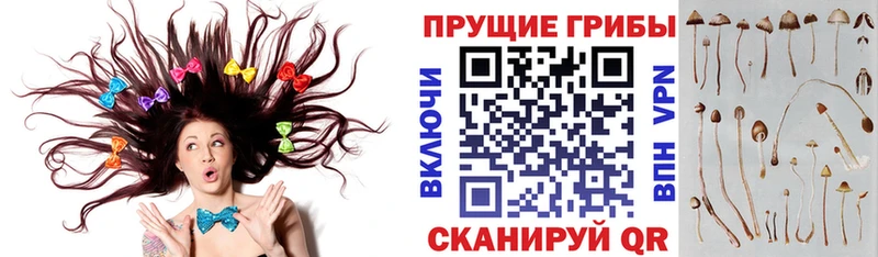 Купить закладки  Монино  Галлюциногенные грибы Magic Shrooms 